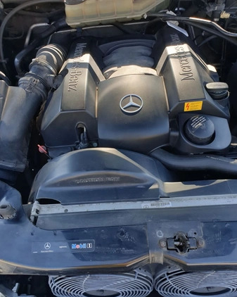 Mercedes-Benz ML cena 26000 przebieg: 160584, rok produkcji 2005 z Sławno małe 277
